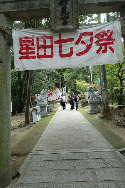 DSC00241.JPG