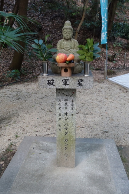 DSC00339.JPG