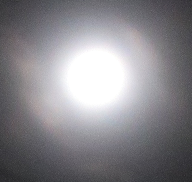 flower moon 2 hazy.jpg